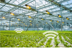 GMO资产管理亚太区碳资产项目基金“beacon实验室”开启智慧农业领域的孵化、投资
